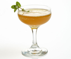 Queen Cocktail
