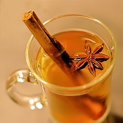 Hot Toddy